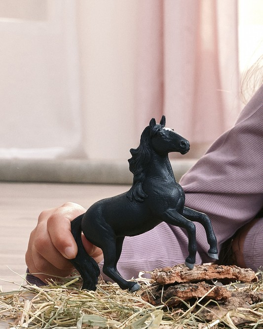 Schleich_jp's tweet photo. りりしい黒い馬はルシターノ
ポルトガル原産の馬です！
遠い昔に軍馬として活躍したルーツを持つ馬で、
今は乗馬用として、オリンピックや国際大会などでも活躍する素晴らしい馬なんです😍

『ルシターノ（オス）』は8月に登場予定です！
どうぞお楽しみに😄

#シュライヒ #フィギュア #schleich https://t.co/F2TshW1JAd