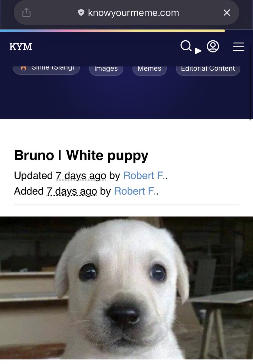 mthego4t's tweet photo. NAME IS BRUNO
2016 POSTS SAY BRUNO
KNOWYOURMEME SAYS BRUNO

But you aping a kol bundle with top holder having 40% lmao 

Fucking iq test

J1eV7uR5UYdnSzyfCPQfKath7L4g7SRHK4vQ4kT8pump

CKv8UuRDpEYou2QQvwQ2ivVK8yA9wxoM5wYnYpbGpump https://t.co/YUC4jLLV1F