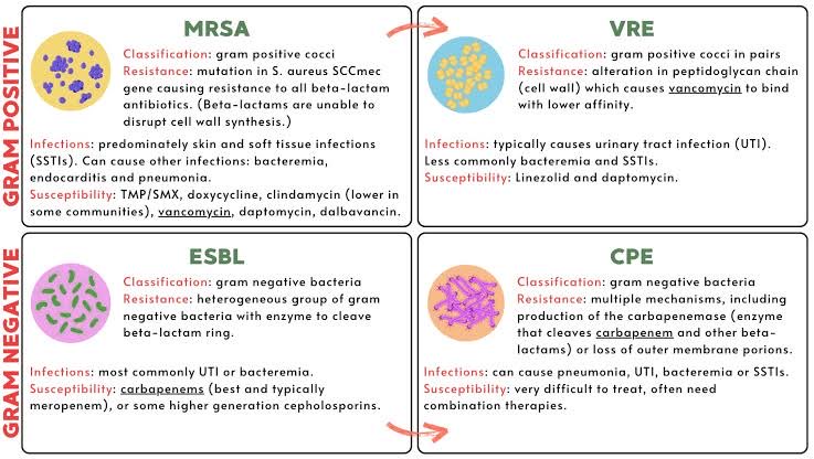 NA_Microbiology's tweet photo. Diagnostic Tests Explained|🧬🦠 ESBL • CRE • MRSA • VRE

Four terms you hear constantly in clinical microbiology.

But what do they actually mean?

Are they organisms?

❌ No.

They are mainly related to:

🧬 Resistance mechanisms

🧪 Resistance phenotypes

💊 Antimicrobial susceptibility patterns

Understanding these patterns is essential for:

🔬 Laboratory identification

💊 Antimicrobial therapy

🛡️ Infection control