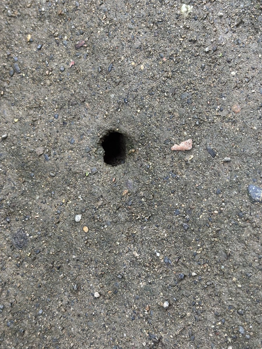 ω・´)この穴なんだろう？ (`・ω・´)地底人でも住んでるのかな？ (`・ω・´)去年からあるんだよね… https://t.co ...