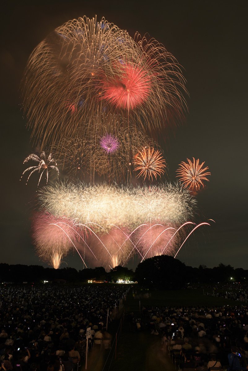 tachikawahanabi's tweet photo. 大会公式カメラマンによる、みんなの原っぱからの写真をお届けいたします。特別協賛者観覧席にお越しのたくさんのお客様や国営昭和記念公園の元気な樹木が立川の花火大会らしい風景となっています📸夏のカメラロールに沿えていただけますと幸いです。
撮影・制作：アライ写真館 https://t.co/7E1Td58kRR
