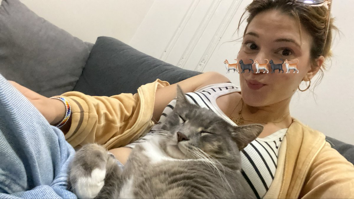 mp3bebejpg's tweet photo. "we are a little chunky" https://t.co/ejNtcXDkoI