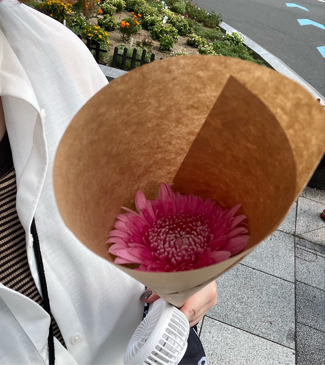 nc1982nc's tweet photo. ピンクのガーベラ

汗だくでハンディファン片手に
花屋さんへ…
きょーはピンク。

帰って冷たいお茶で水分補給。
みなさま、外出は気をつけて。

花のある生活　　　🌺
季節の花で彩りを（・¨○）

2026.7.27

#フラワーベース #一輪挿し
#ガーベラ #花 #花屋
#スヌーピー #SNOOPY https://t.co/veTB5oHzCT