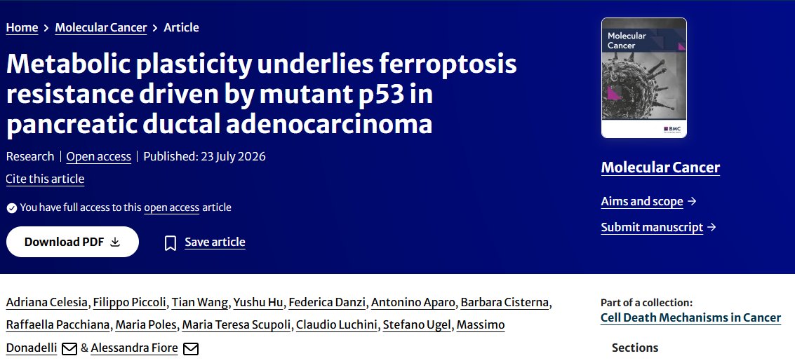 aleflow3r's tweet photo. 🚀 I'm over the moon to share that our latest research has been published in Molecular Cancer!

📝 Metabolic plasticity underlies ferroptosis resistance driven by mutant p53 in pancreatic ductal adenocarcinoma
by Adriana Celesia et al.
🔗 Read it here: https://t.co/Lu04cX57hK https://t.co/F86IrOje1K