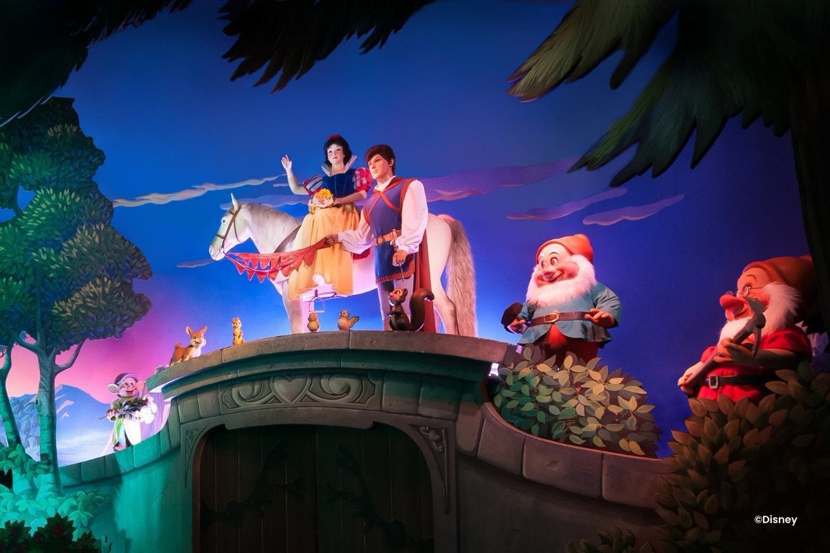 DLP World tweet media