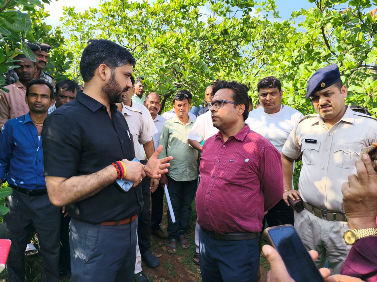 AgriDirectorate's tweet photo. The administrative inspection of the cashew plantation located in Nala Block of Jamtara District is an important initiative towards strengthening agriculture and the rural economy.
During the inspection, various aspects related to the overall development of(1/7) https://t.co/RXX3RRKxgq