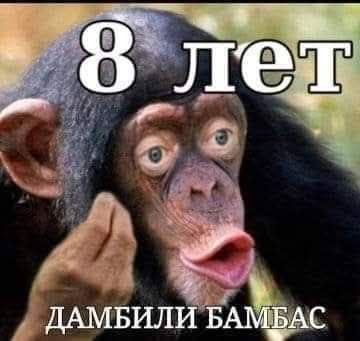 mykola tweet media