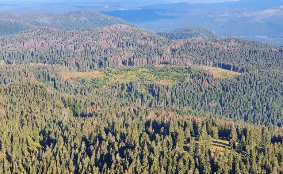 MuscaCiprian's tweet photo. Romania's Government adopted the National Biodiversity Strategy 2026–2030 on 23 July, fulfilling PNRR Milestone 31. My analysis of what the document means for forests, national parks and the communities around them:
https://t.co/4i0ZJ2LnIO https://t.co/Vwcd93KVY6