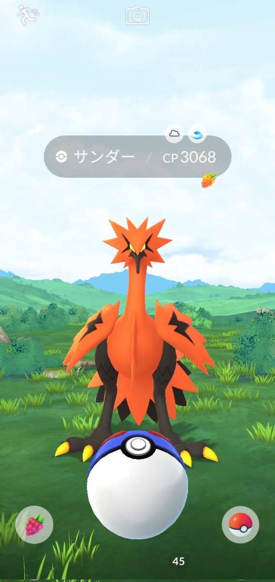 レーニャ tweet media