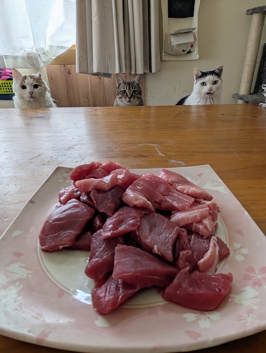 hotateyasan's tweet photo. ご着席されましても...
困るんですが... https://t.co/0zoZAKVrn1