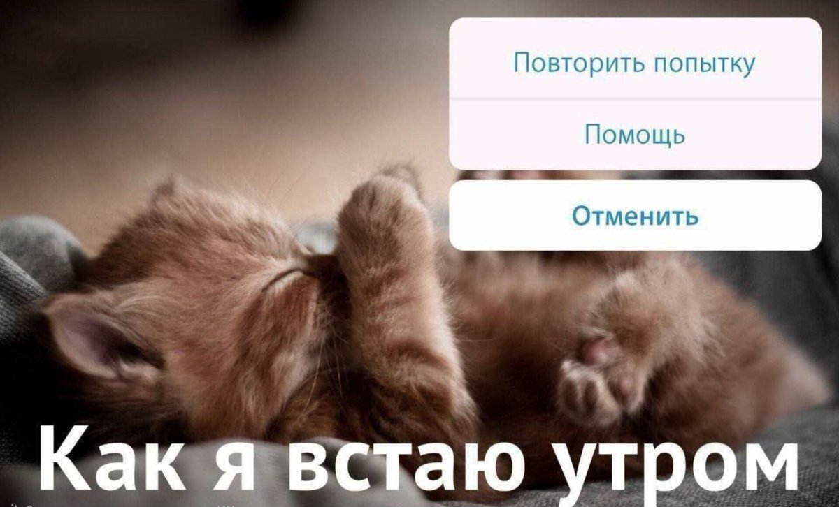 mousemaking's tweet photo. Мы или не мы? https://t.co/OVph1xJUFH