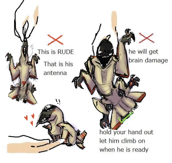 v370zn's tweet photo. how to properly handle Felix .. more doodle aerosaur felix :D

#aeromorph #art https://t.co/hOnSrMu08N