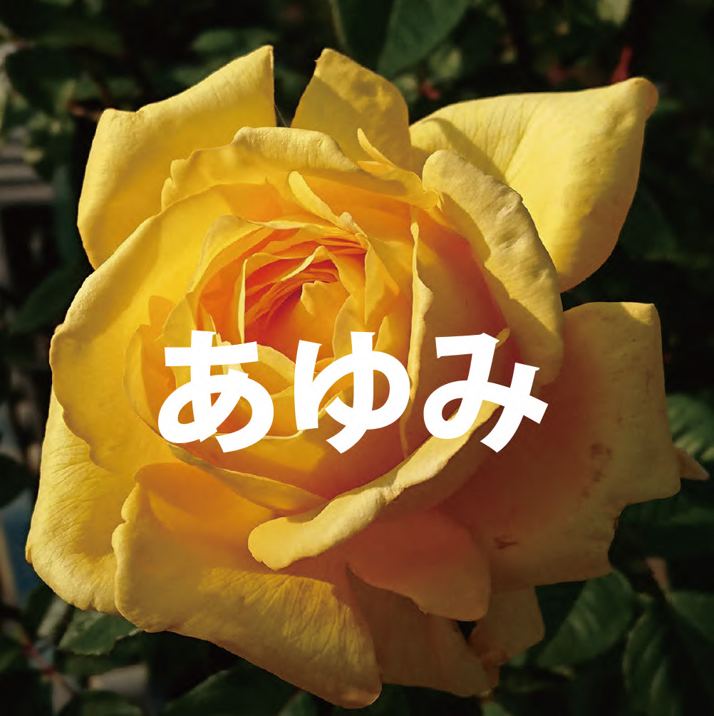 atm21810's tweet photo. 7月27日。月曜日。晴れ。atm.は18時から深夜まで。今日のatm.は新人あゆみ。西口で働く普通の事務員さん。で最近、ゴールデン街の某お店を辞めたらしい。といった情報です。あとはよく解ってないが、とにかく楽しく元気に迎えましょう。よろしくおね。素敵な風吹きますように。明日は新人マメ山田のバースデー。
9月12日。SEX,DRINK ROCK’N ROLL『SATURDAY ALLNIGHT FOREVER』に向けてノンストップ。走り出したら止まらないぜ。土曜の夜の天使さ。よろしく。
【atm.からのお知らせ】
7月27日（月）（お試し新人）あゆみ
7月28日（火）マメ山田バースデー
7月29日（水）魅麒
7月30日（木）あっしー
7月31日（金）畑野とまと
※営業時間：18時から深夜まで・不定休※のっぴきならない事情により予定は変更になる可能性があります。［cafe & bar atm.（アトム）］〒160-0022新宿区新宿2-18-10新千鳥街・tel.070-9102-5641
＝＝＝＝＝＝＝＝＝＝＝＝＝
『にんに君と元気になりたい』SNS・動画配信サイトで更新中！応援よろしくね！
https://t.co/M87nqrXIun
https://t.co/Z4vRgtUk1u
https://t.co/mOnJfg7oSe