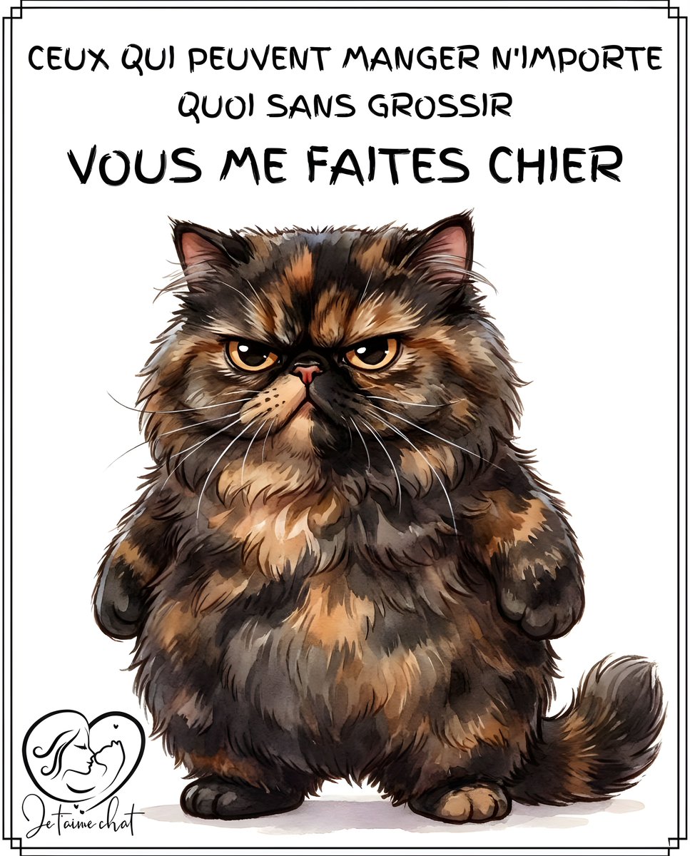 jtmchat's tweet photo. Rejoins la famille Je t'aime Chat ๐พ ๐ @jtmchat |
........#ChatsDeFrance #VieDeChat #AmourDeChat #ChatDuJour #Ronron #ChatLovers #UniversDesChats https://t.co/pQrzq74YIc