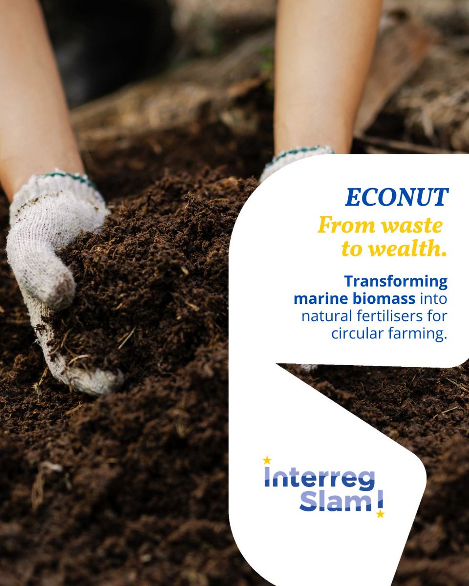 interreg_eu tweet media