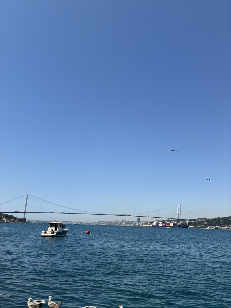 Veysel tweet media