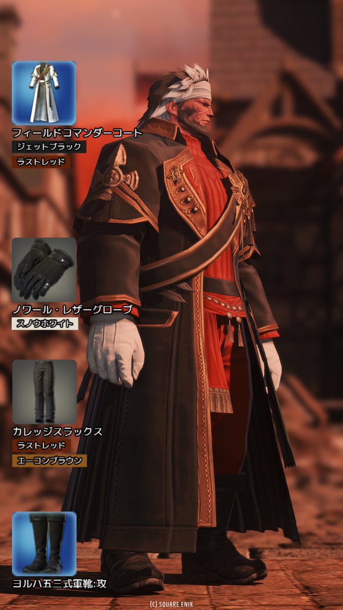 iBackburni's tweet photo. バスティオンルガディン風ミラプリのレシピ　自分はフィールドコマンダーで組んだ https://t.co/lzJFL6J5n6