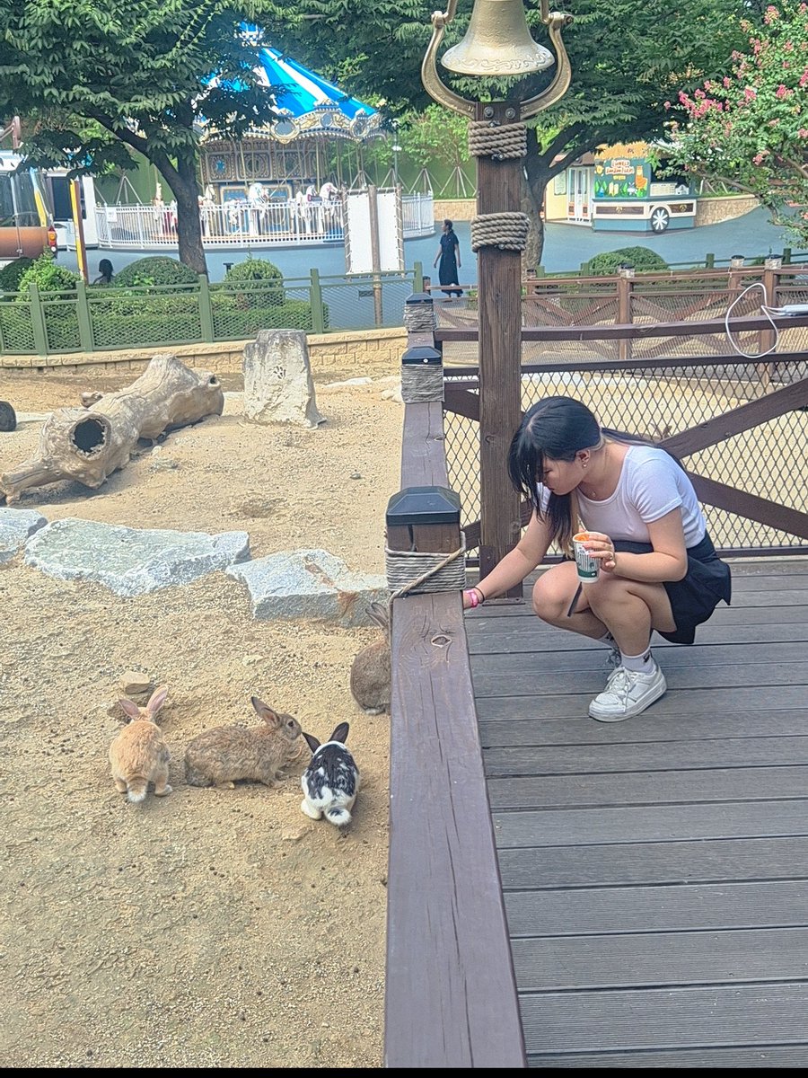 Hwan2_ono's tweet photo. 동물들 밥주기
(알파카는 집드가서 안나와서 결국 못줌) https://t.co/o5Z4Iuxytj