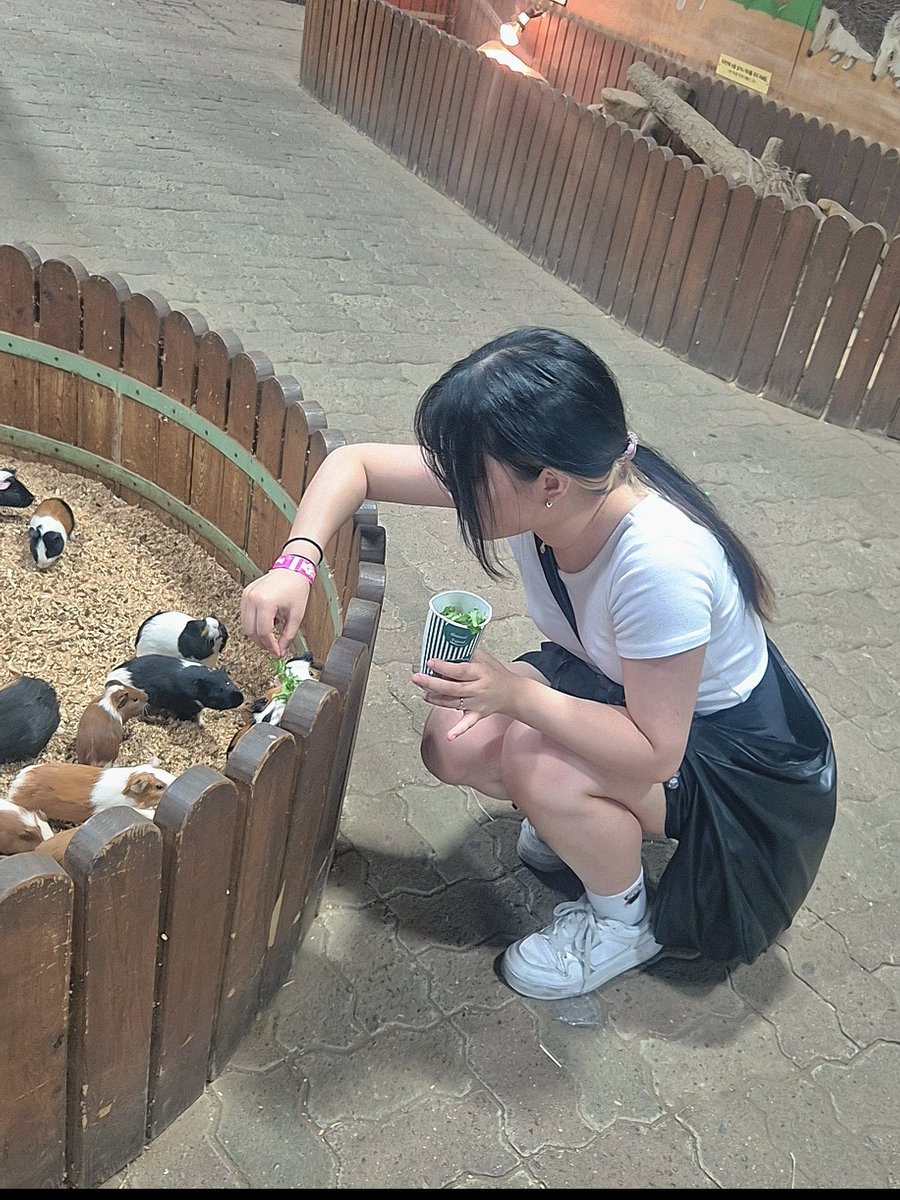 Hwan2_ono's tweet photo. 동물들 밥주기
(알파카는 집드가서 안나와서 결국 못줌) https://t.co/o5Z4Iuxytj