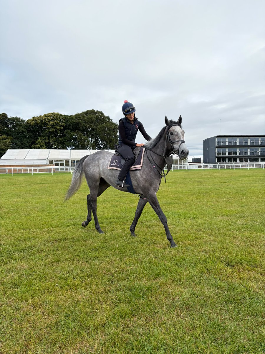 kingsdownstable's tweet photo. A couple of our runners today @ayrracecourse having a leg stretch this morning 
EMPIRICAL &amp; BYMIDDAYTOMORROW 🤞 https://t.co/NIJWTMxD0Y