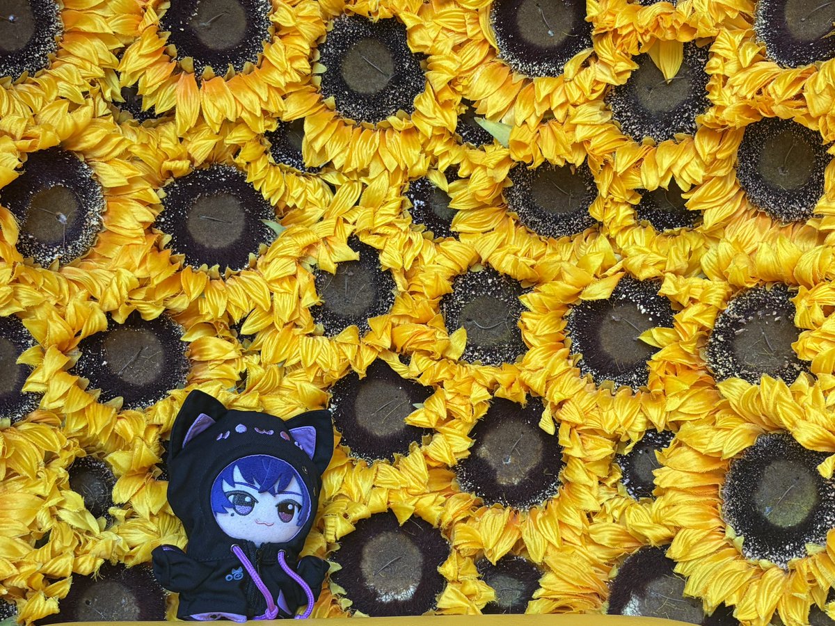 R__S0202's tweet photo. #心音くん 💌𓂃𓈒𓂂𓏸💜

ひまわり畑に行ってきましたっ💜🌻
心音さんと、この夏を満喫できてる気がして楽しかったです💜✨

まだまだ夏は始まったばかりなので！
これからも沢山の所にお出かけしようねっ(｡•ㅅ•｡)♡💜💜💜 https://t.co/J6iHGSaA9F