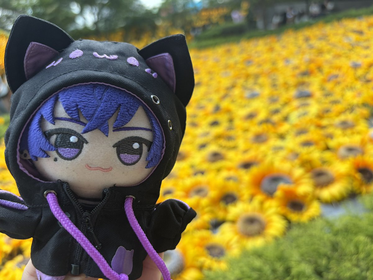 R__S0202's tweet photo. #心音くん 💌𓂃𓈒𓂂𓏸💜

ひまわり畑に行ってきましたっ💜🌻
心音さんと、この夏を満喫できてる気がして楽しかったです💜✨

まだまだ夏は始まったばかりなので！
これからも沢山の所にお出かけしようねっ(｡•ㅅ•｡)♡💜💜💜 https://t.co/J6iHGSaA9F