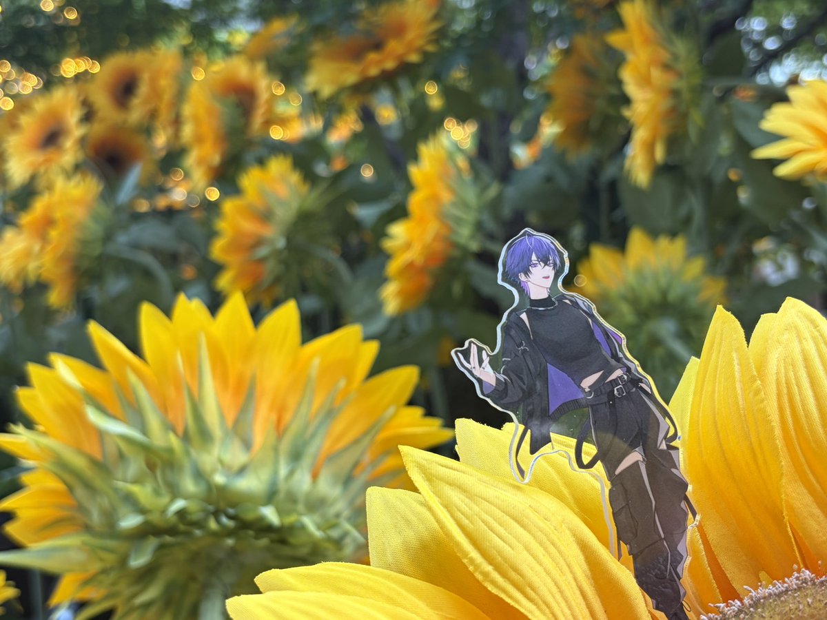 R__S0202's tweet photo. #心音くん 💌𓂃𓈒𓂂𓏸💜

ひまわり畑に行ってきましたっ💜🌻
心音さんと、この夏を満喫できてる気がして楽しかったです💜✨

まだまだ夏は始まったばかりなので！
これからも沢山の所にお出かけしようねっ(｡•ㅅ•｡)♡💜💜💜 https://t.co/J6iHGSaA9F