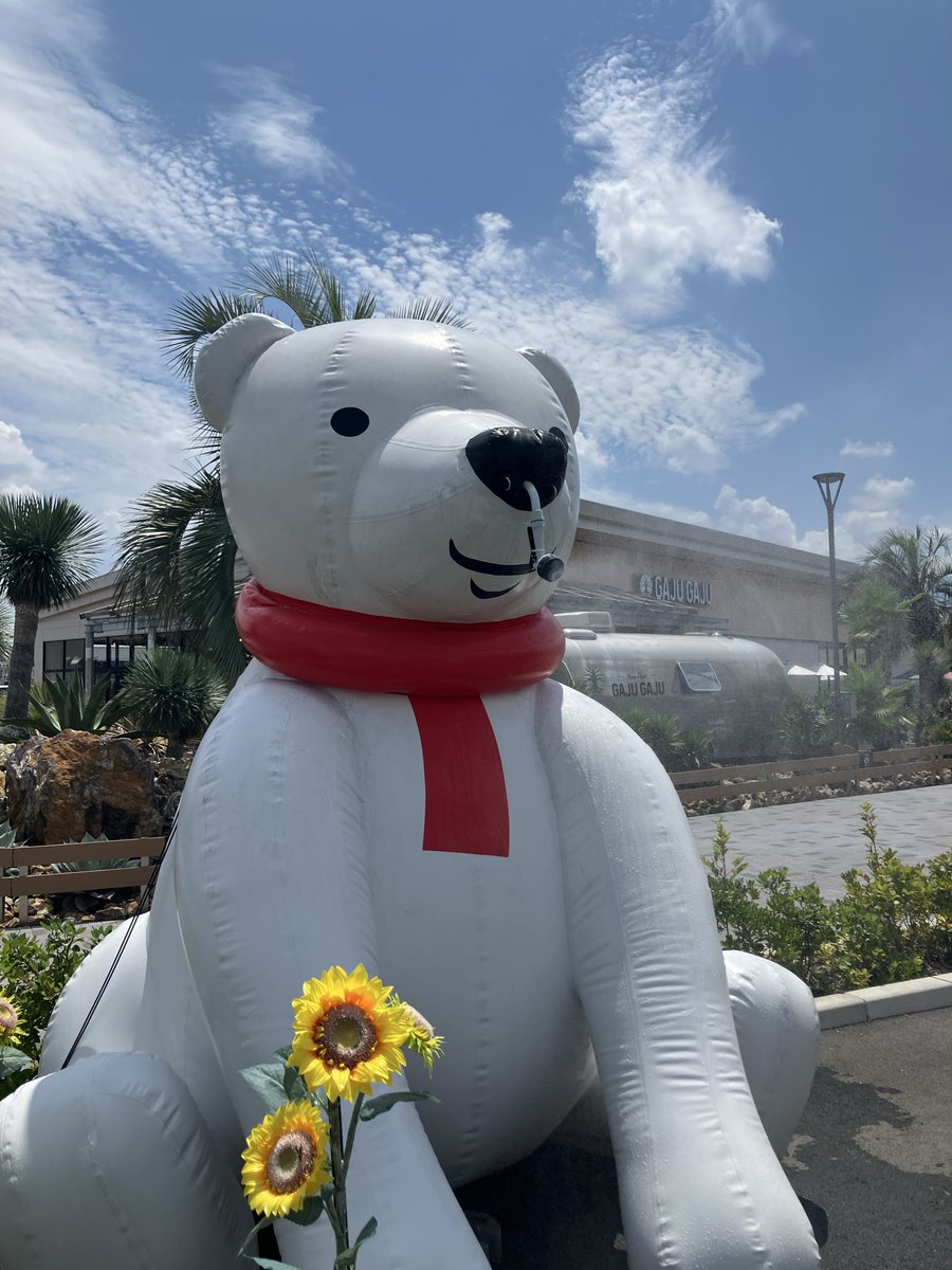 Corydras's tweet photo. 鼻から水を撒き散らす熊がいた https://t.co/TZpYI73yP0