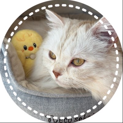 𝐒𝐀𝐕𝐀_ฅ^•ﻌ•^ฅ tweet media