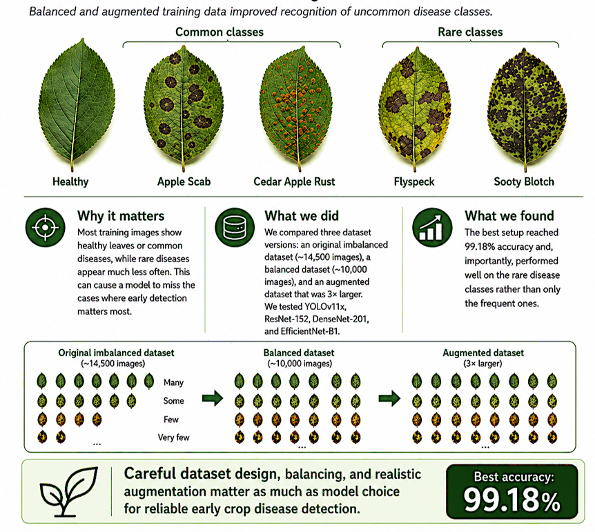 AgriEng_Mdpi's tweet photo. Can AI detect apple leaf diseases before it’s too late? 🍃  

How targeted data design catches rare outbreaks early 👇

🔗https://t.co/qZTQe38AFo

#PrecisionAg #MachineLearning https://t.co/B9WlLQON1O