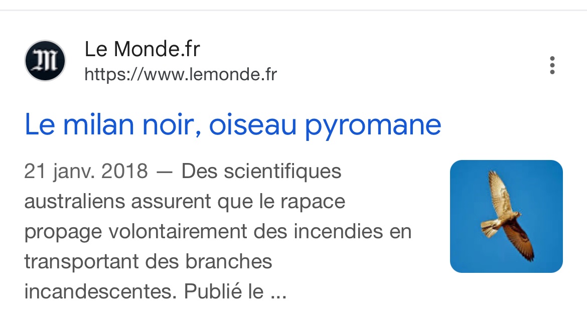 Nanou tweet media