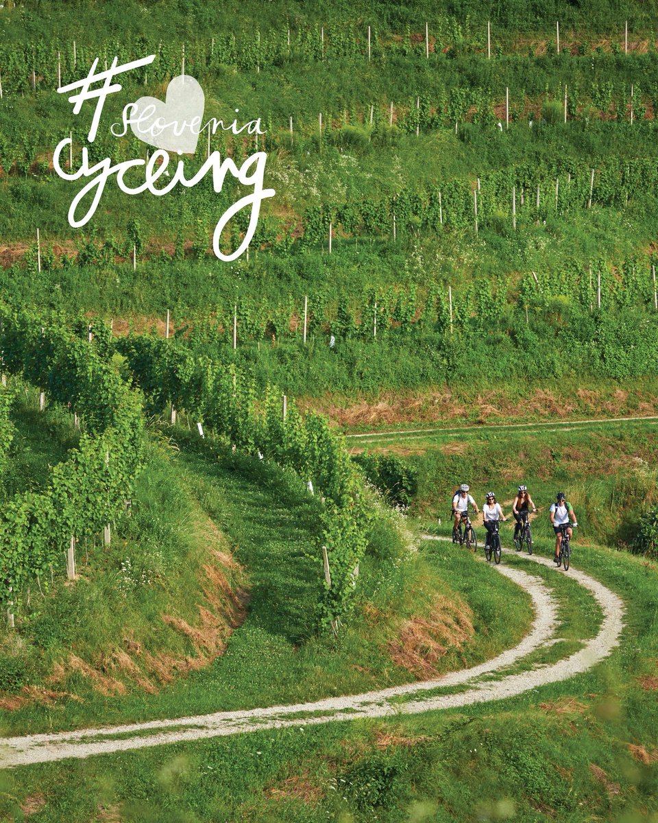 SloveniaInfo's tweet photo. From Tour de France history to riding alongside Tadej Pogačar and tackling one of Europe's toughest mountain bike trails, Slovenia is turning an extraordinary cycling season into an invitation for travellers to experience the country on two wheels.

#ifeelslovenia https://t.co/U1STAFQrVq