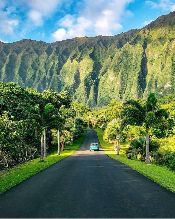 naturehealyou's tweet photo. Surrounded by natural beauty — Hawaii https://t.co/lO0plZM9dW