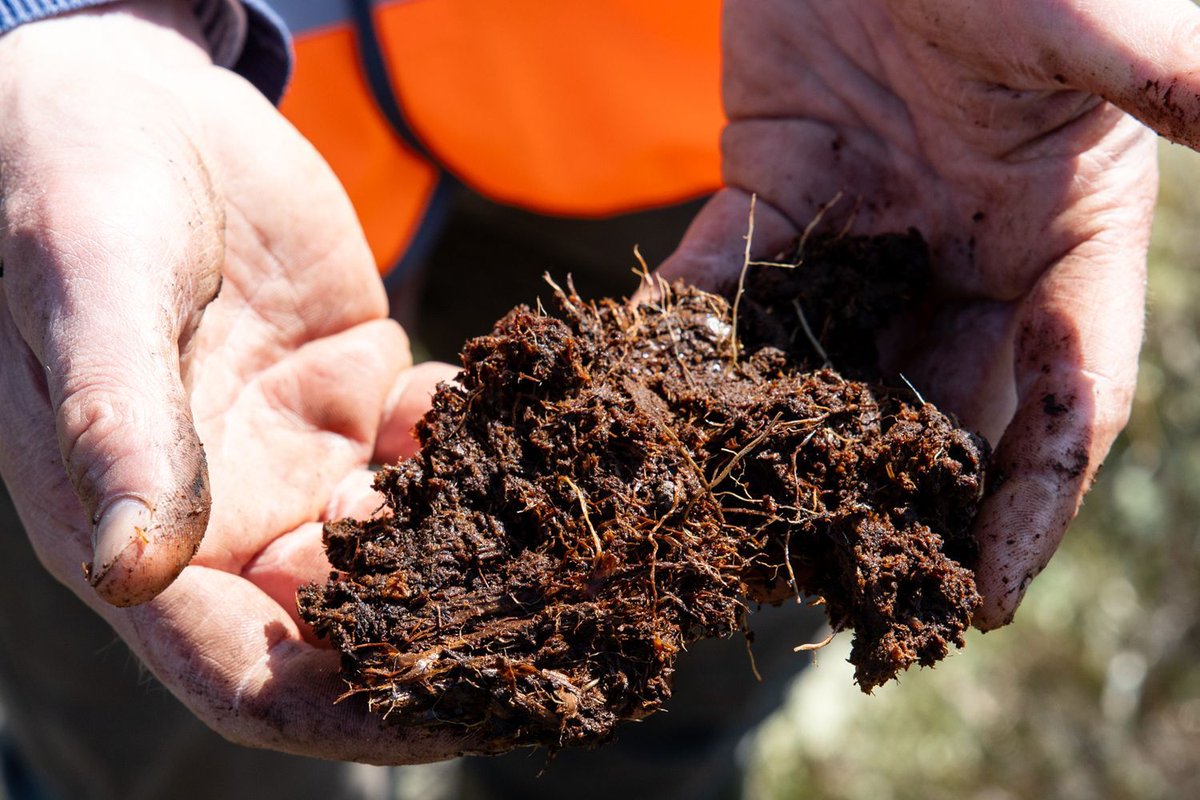 EUJTF_ie's tweet photo. 🌿Yesterday we celebrated Bog Day 2026🌿

Ireland's peatlands are vital carbon stores, biodiversity hotspots and an important part of our shared heritage.

Through the #EUJustTransitionFund, investment in peatland restoration and innovation across the #EUJTF territory in the Midlands is helping communities adapt, thrive and build a more sustainable future.

🌱 Protecting peatlands today for generations to come.

 #NatureRestoration #Sustainability 
@EMRAssembly @DeptCEE @eurireland @EU_Commission @EUinmyRegion @NWAssembly @SouthernAssembl