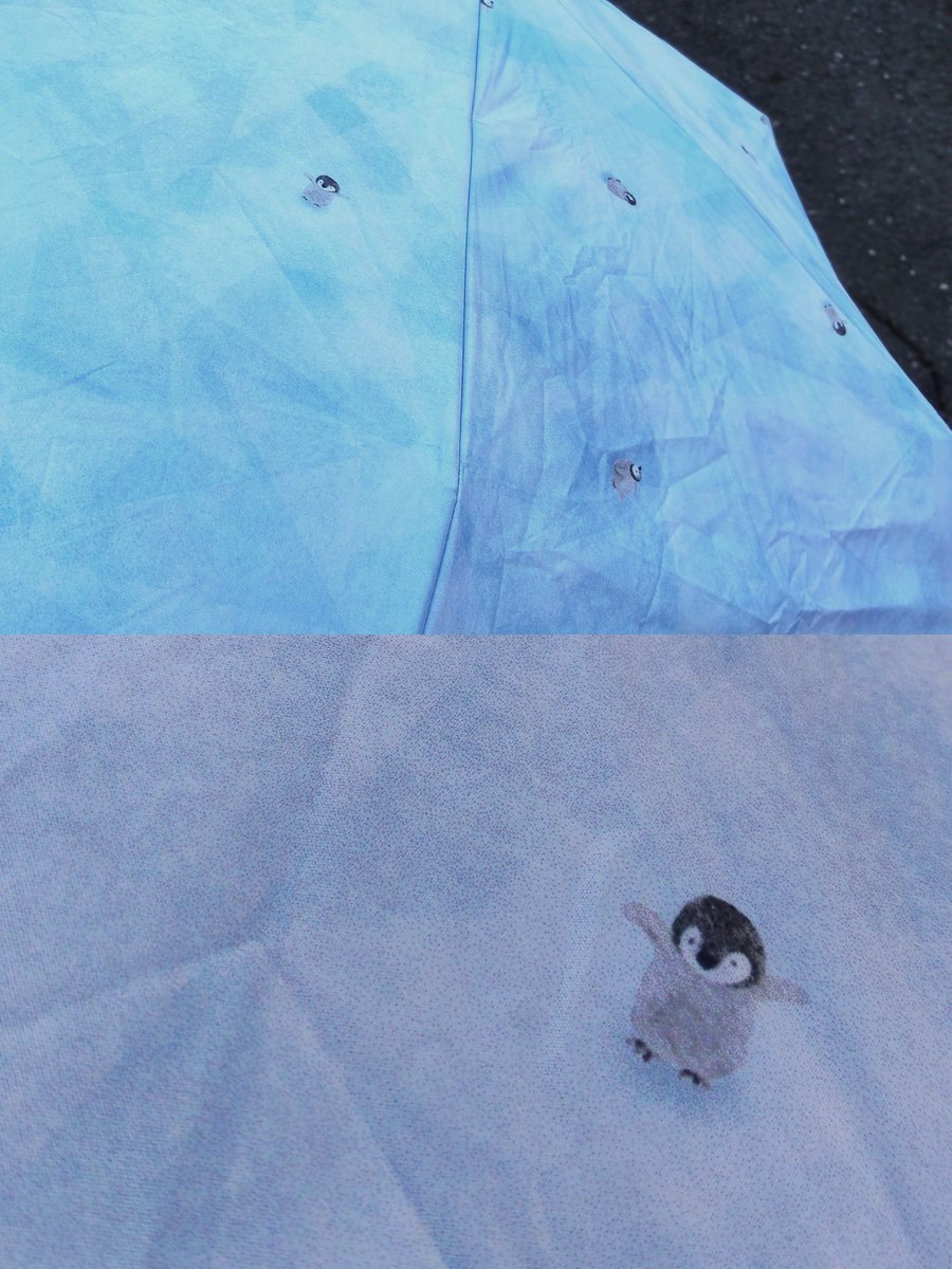 krage_life's tweet photo. こないだ買った日傘がこちら🐧✨

下から覗いたらペンギンプールを海底から見上げてるみたいで、
外側は流氷の上にいる赤ちゃん🐧が��ﾁﾃﾁ歩いてるのよ〜😭💕💕💕💕

持ち手も可愛いし、
デザインの感性が超好きやし、
色も性能も涼しいし良きもの��買った…💕 https://t.co/1Y6CjDFsnm
