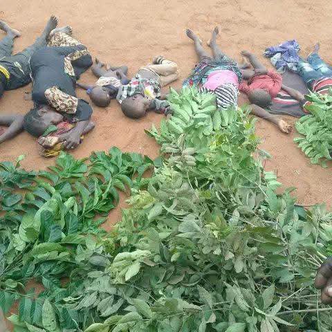 Hillcitymedia's tweet photo. Over 30 Christian villagers killed by terrorists in Naridon village of Kauru LGA in Southern Kaduna https://t.co/IlQychpRQ6