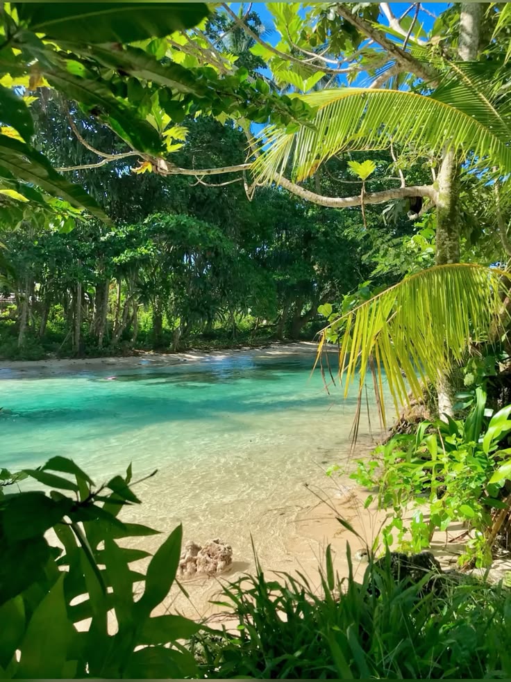 naturehealyou's tweet photo. Surrounded by natural beauty — Hawaii https://t.co/lO0plZM9dW