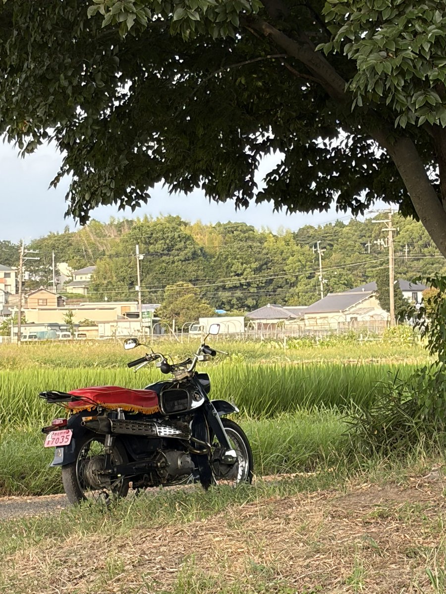 satosh100's tweet photo. 仕事終わりにちょい乗り🏍️💨気温33℃
影は涼しいが日向はまだ暑い🫠
オモチャ📱のテスト📷✨
#cs92 #benly #神社仏閣 https://t.co/AE7gel2CFt