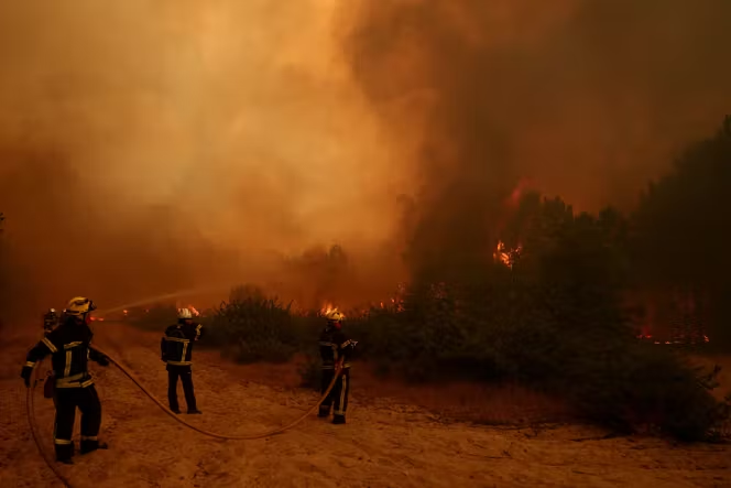 nickofnz's tweet photo. It must cost a LOT to fight all these fires, and the damage they're doing is immeasurable.

How much is the oil industry contributing? https://t.co/EfeEaVPkDS
