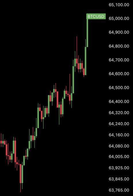 TheCryptoEdge10's tweet photo. BOOM 🚀 #Bitcoin hits $65,000. https://t.co/e5Y9hjAQXT