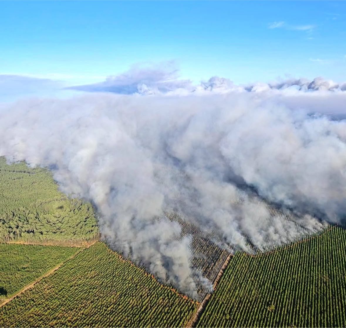 airplusnews's tweet photo. ❤️ Force aux Pompiers, aux Forces de l’ordre, aux agriculteurs, aux militaires, à la Protection Civile, au génie civil, aux Maires et aux habitants de Gironde, du Var, des Landes et de Corse 🇫🇷 

photos Steve Le Clech https://t.co/UWALZtySQA