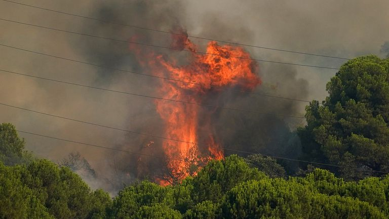 nickofnz's tweet photo. It must cost a LOT to fight all these fires, and the damage they're doing is immeasurable.

How much is the oil industry contributing? https://t.co/EfeEaVPkDS