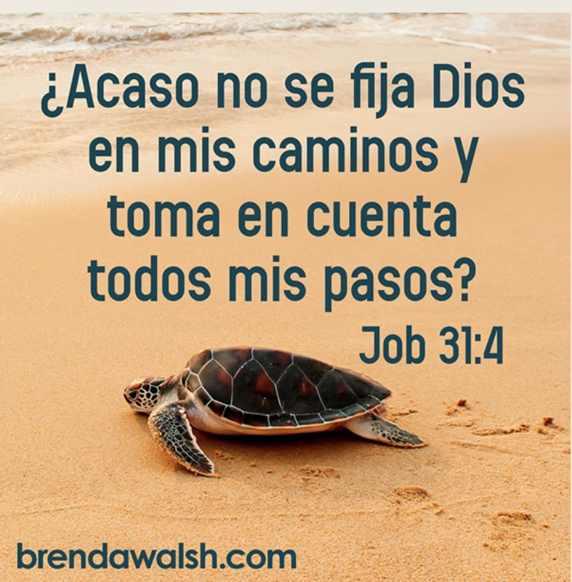 guenther37's tweet photo. Job 31 #rpsp ¿Te someterías voluntariamente al escáner d la omnipresencia divina, abriendo los archivos confidenciales d su conducta íntima y pública p demostrar tu inocencia? 14 áreas: lujuria codicia falsedad fraude adulterio justicia idolatría Hasta las intenciones dl corazón https://t.co/Rj8w3UkRPF
