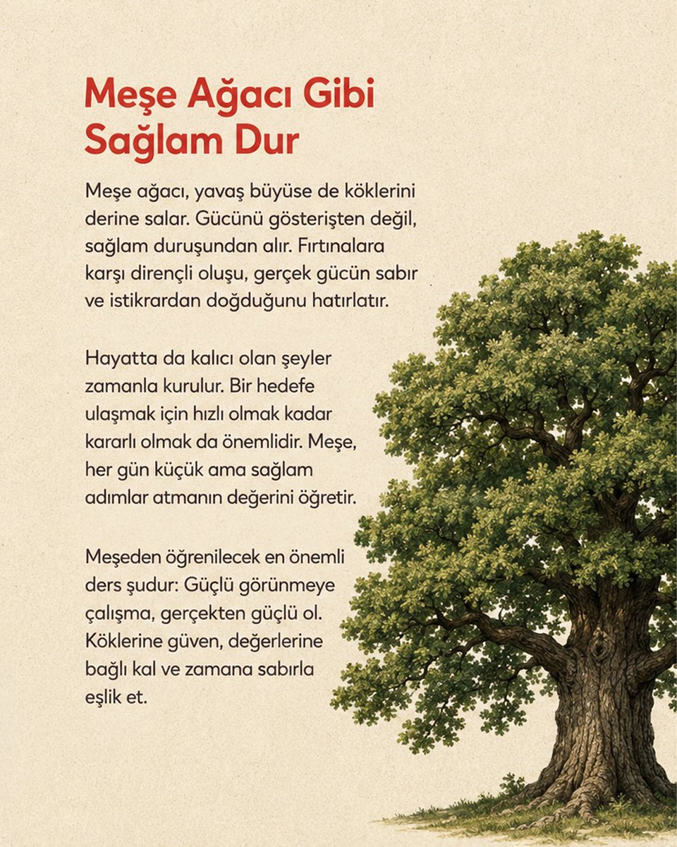 konyagac's tweet photo. Güçlü kökler, sabır ve dayanıklılık… 🌿
Uzun ömürlü mutluluklar için meşe ağacından öğreneceğimiz çok şey var.

#KonyaAğaç #MeşeAğacı #Doğadanİlham #YeşilGelecek #Peyzaj https://t.co/a3UTgVqIe0