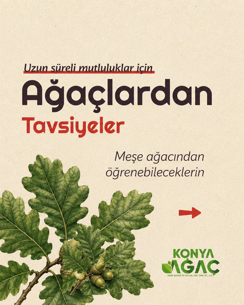 konyagac's tweet photo. Güçlü kökler, sabır ve dayanıklılık… 🌿
Uzun ömürlü mutluluklar için meşe ağacından öğreneceğimiz çok şey var.

#KonyaAğaç #MeşeAğacı #Doğadanİlham #YeşilGelecek #Peyzaj https://t.co/a3UTgVqIe0