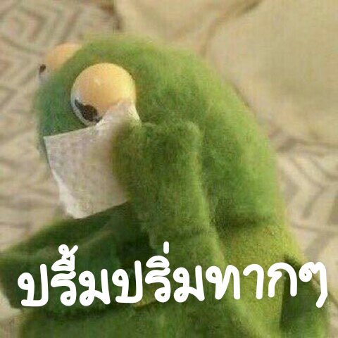 แซลม่อน 🤍🧡💜 tweet media