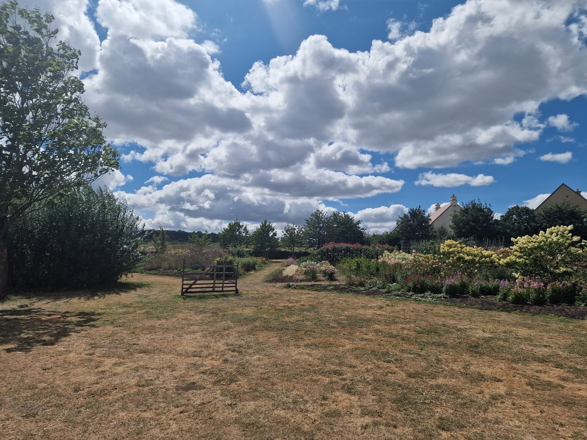iotucker's tweet photo. Perfect day for the lavender gardens, cake, coffee, stunning scenery and not too hot for a change! https://t.co/3gsDif6dW3