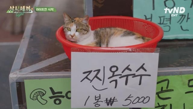 힐링짤모으는곳 tweet media