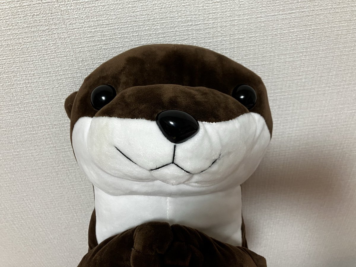hinode_heidel's tweet photo. なんかおった https://t.co/pTyhZ5n1yS