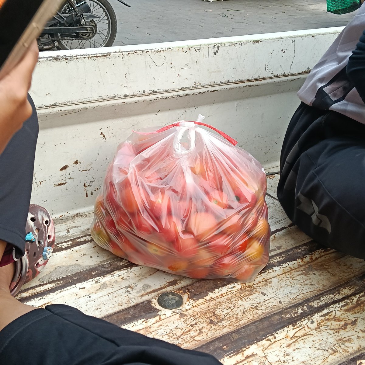 demeeown's tweet photo. ikut jual cabe malah dikasih tomat sekresek gini😭 wts tomat cod klaten kalo ambil lokasi geratis https://t.co/38T24w1PJa